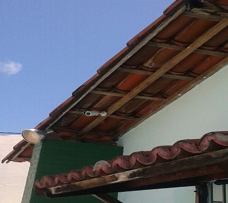 Gallery Image 15